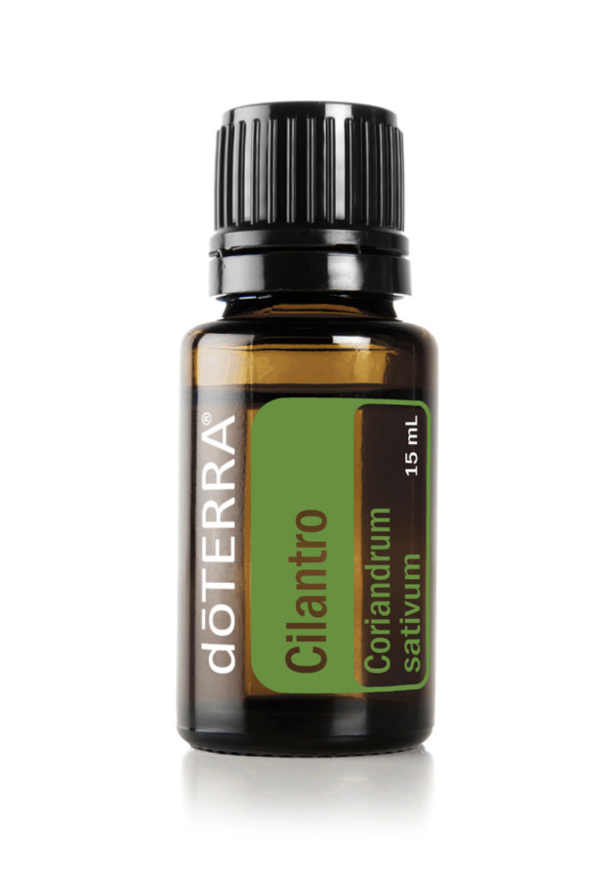 Cilantro Oil
