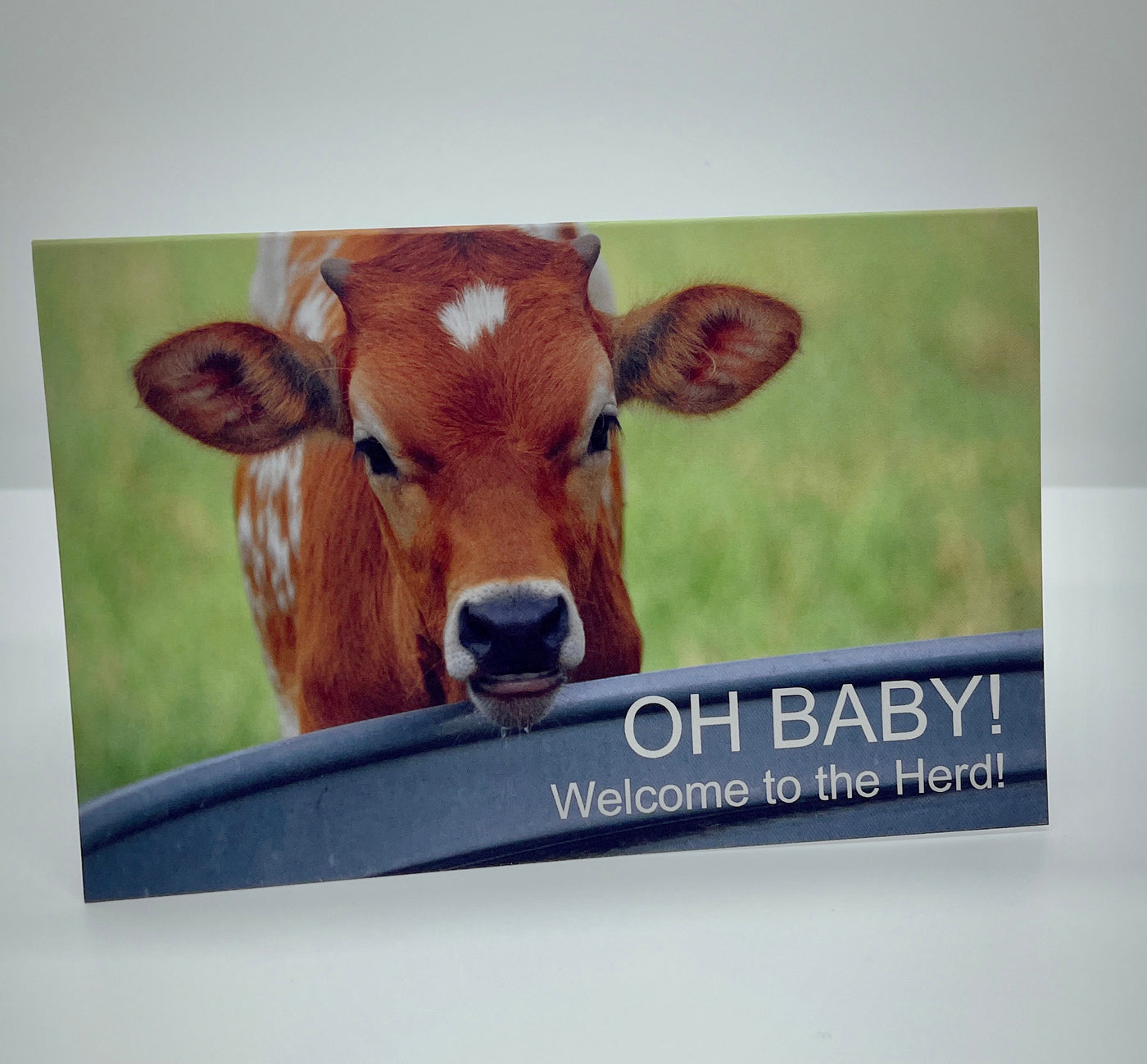 Oh Baby, Welcome To The Herd Card