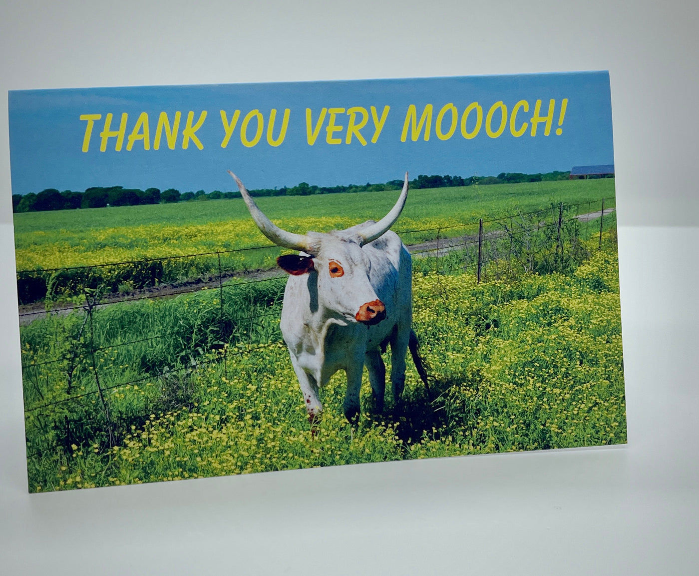 Thank You Very Mooch Card